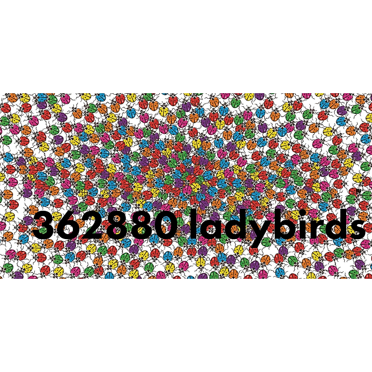 How Much Does A Ladybird Weigh? - Ảnh 7