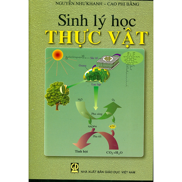 Sinh Lý Học Thực Vật