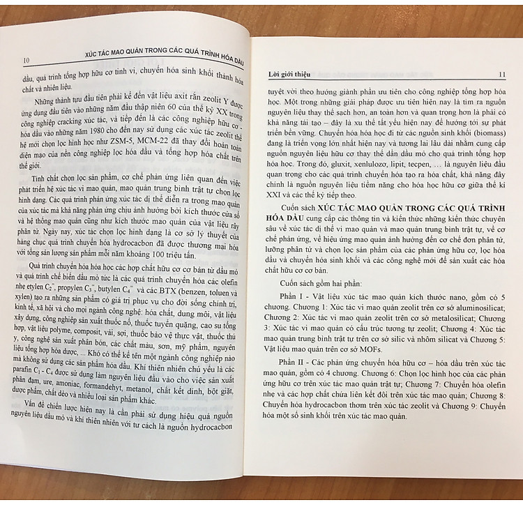 Xúc Tác Mao Quản Trong Quá Trình Hóa Dầu - Ảnh 4