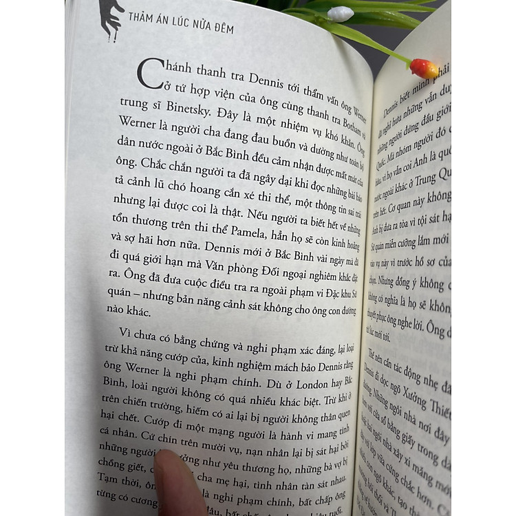 THẢM ÁN LÚC NỬA ĐÊM - Ảnh 2