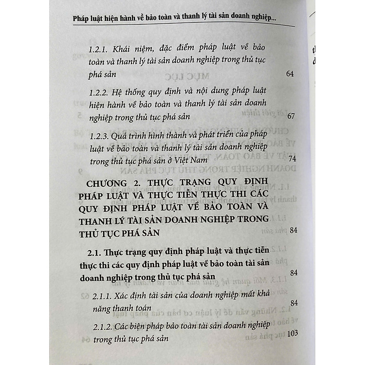 Pháp Luật Hiện Hành Về Bảo Toàn Và Thanh Lý Tài Sản Doanh Nghiệp Trong Thủ Tục Phá Sản - Ảnh 5
