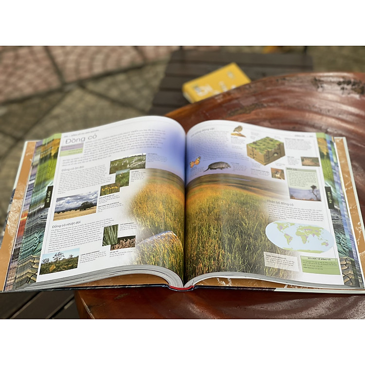 THUYẾT MINH TRỰC QUAN NHẤT VỀ TRÁI ĐẤT - Tủ sách DK - Ảnh 4