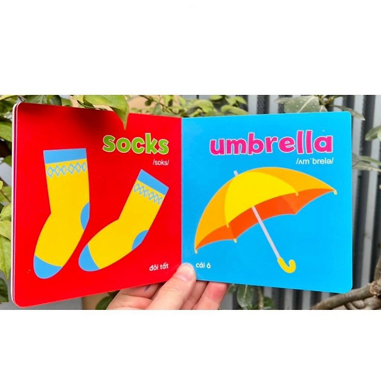 Baby First Picture Book - Song Ngữ Anh Việt - Ảnh 6