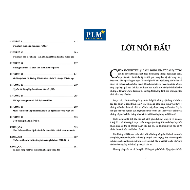 LÀM GIÀU TỪ SIÊU CỔ PHIẾU – Câu Chuyện Của Gã Du Mục Phố Wall - Ảnh 3