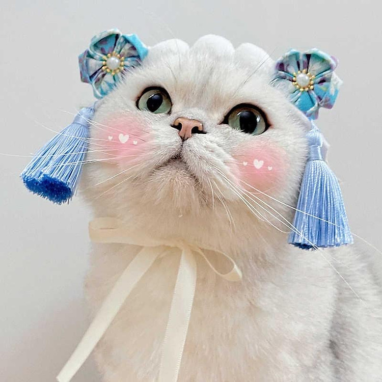 đồ cài công chúa cách cách dành cho chó mèo