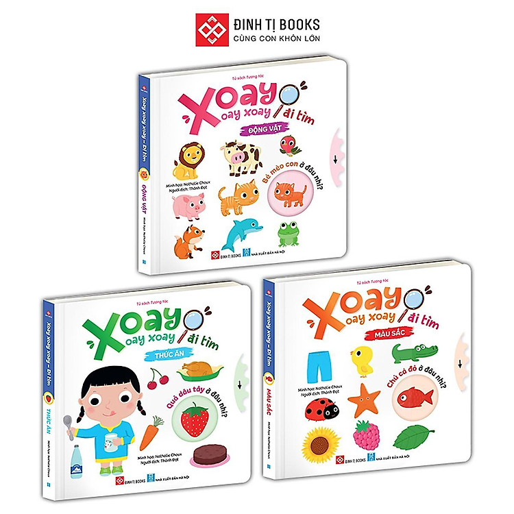 Xoay Xoay Xoay - Đi Tìm... Màu Sắc - Ảnh 2
