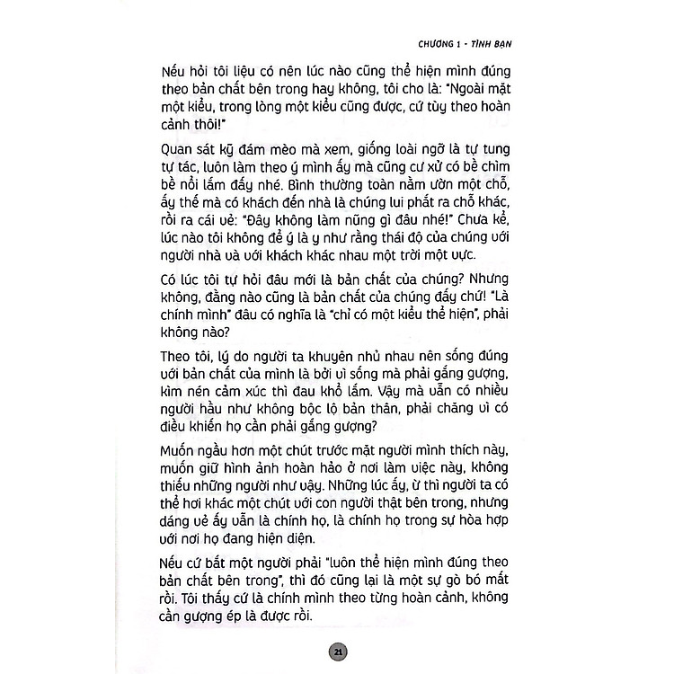 Những Bài Học Cuộc Sống Từ Đám Mèo Nhà Tôi - Ảnh 4
