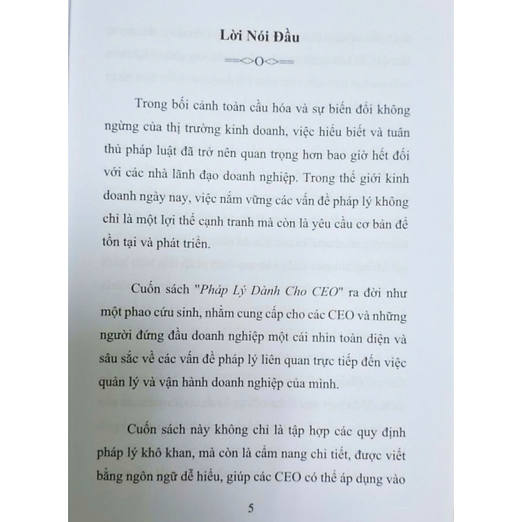 Pháp lý dành cho CEO - Ảnh 7