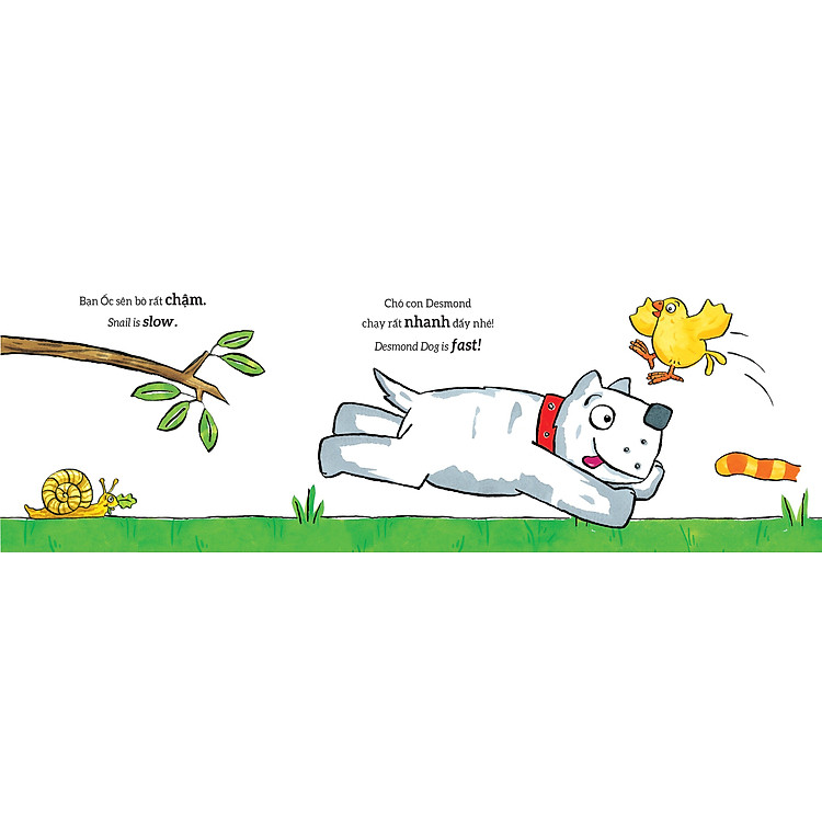 Tương Tác Lật Mở - Các Từ Trái Nghĩa - Ảnh 3