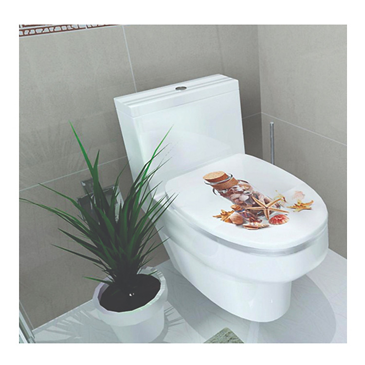 Decal Dán Tường Sao Biển BC10 (37 x 32 cm)