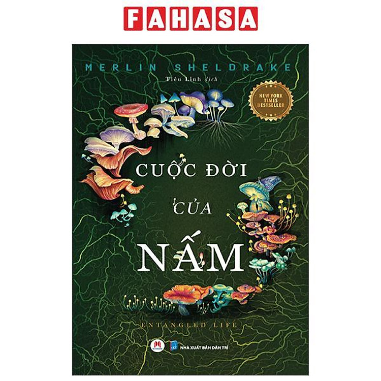Cuộc Đời Của Nấm – Entangled Life