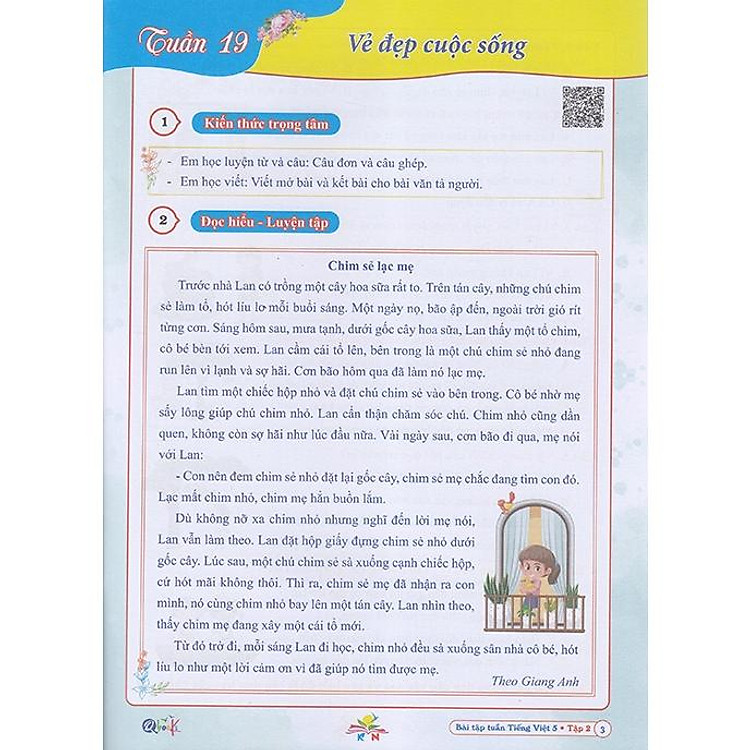 Bài Tập Tuần Tiếng Việt 5 (Tập 2) - Ảnh 3