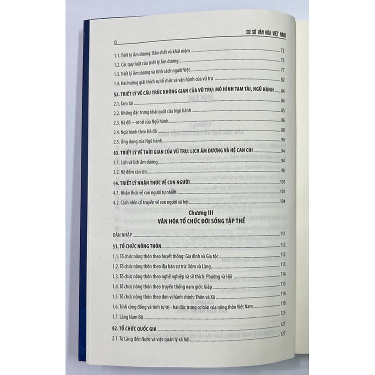 Cơ Sở Văn Hóa Việt Nam - Ảnh 4