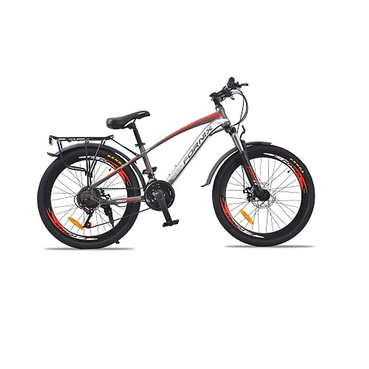 Xe đạp địa hình hiệu Fornix FT24, vòng bánh 24'', màu Xám đỏ