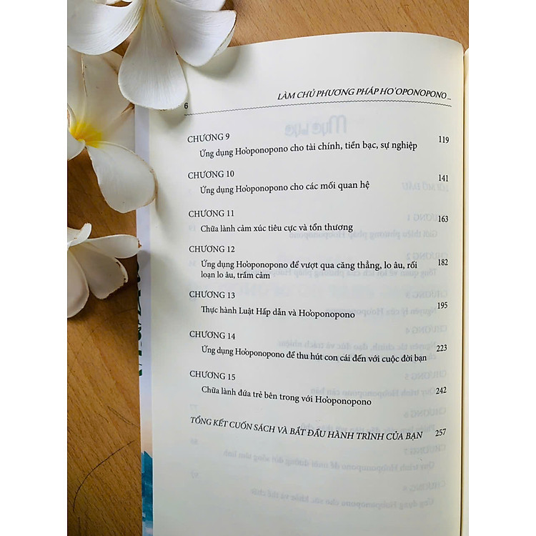 LÀM CHỦ PHƯƠNG PHÁP HO'OPONOPONO TRONG TRỊ LIỆU & CHỮA LÀNH - Ảnh 5