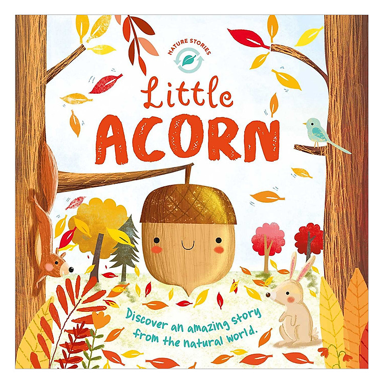 Sách Nature Stories: Little Acorn