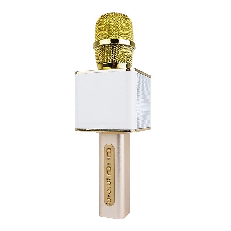 Micro Karaoke Bluetooth Chuyên Nghiệp Cho Giọng Hát Chất Lượng PKCB64 GOLD - Hàng Chính Hãng