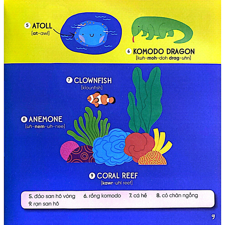 Steam Words Nature - Từ Vựng Về Tự Nhiên - Ảnh 4