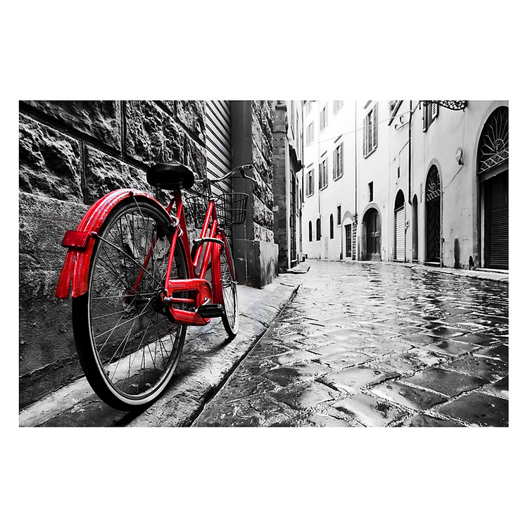 Tranh Chiếc Xe Đạp Đỏ