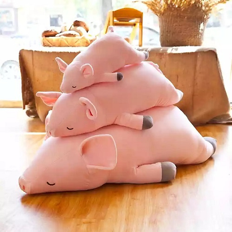 Gấu Heo Lười Nằm Ngủ