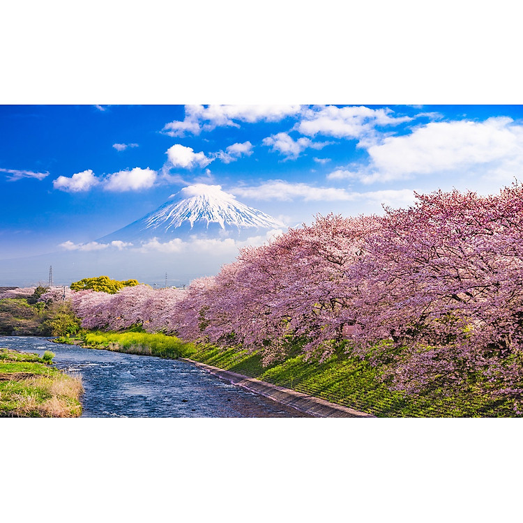 Mua Bộ tranh xếp hình Phú Sĩ 1500 mảnh Chính hãng Giá rẻ - Hình ảnh 2