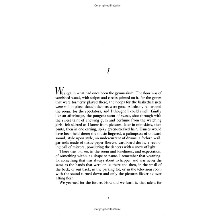 The Handmaid's Tale - Ảnh 2