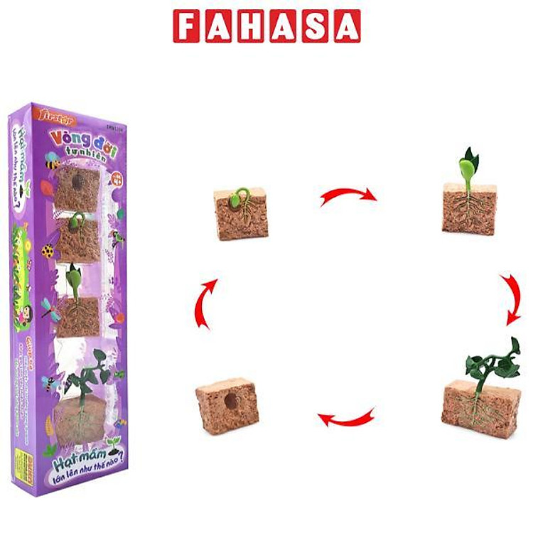 Đồ Chơi Mô Hình Vòng Đời Tự Nhiên Chính hãng Giá tốt
