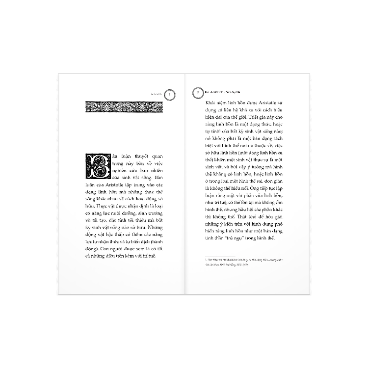 Bàn về linh hồn (Peri Psychēs) – Aristotle - Ảnh 7