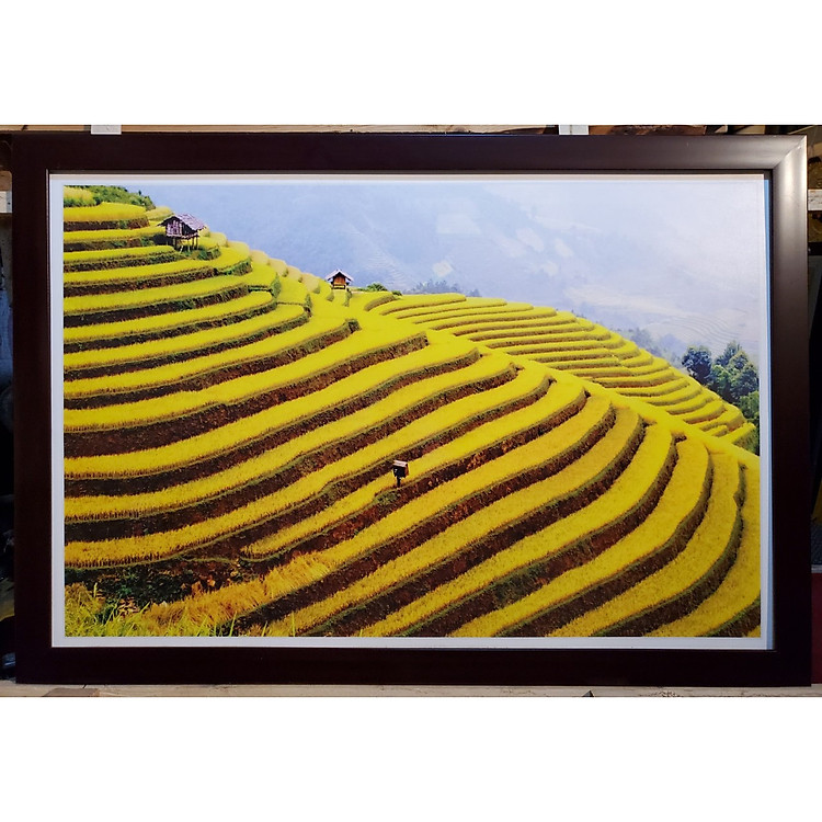 Tranh phong cảnh ruộng bậc thang Mù Cang Chải