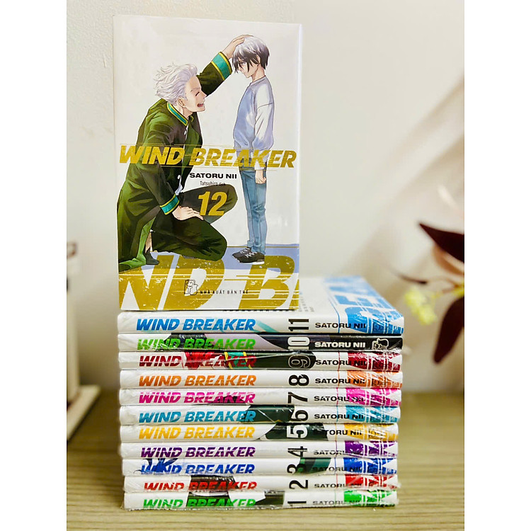 Truyện tranh Wind Breaker full 24 tập (Chang Book)