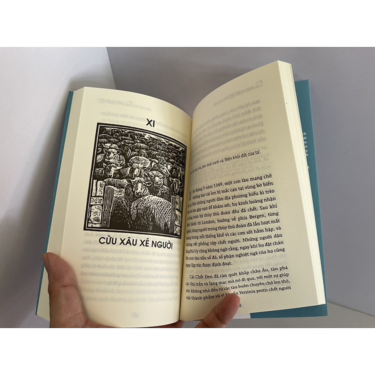 LƯỢC SỬ THẾ GIỚI TRÊN LƯNG CỪU - Ảnh 3