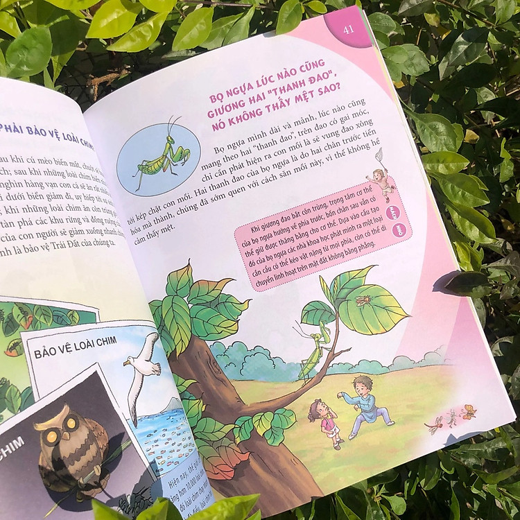 10 Vạn Câu Hỏi Vì Sao Dành Cho Thiếu Nhi - Động Vật Biết Bay - Ảnh 4