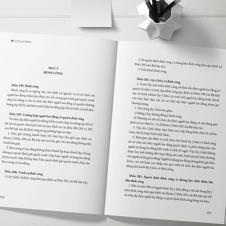 Bộ Luật Lao Động Hiện Hành (Mới Nhất) - Ảnh 5