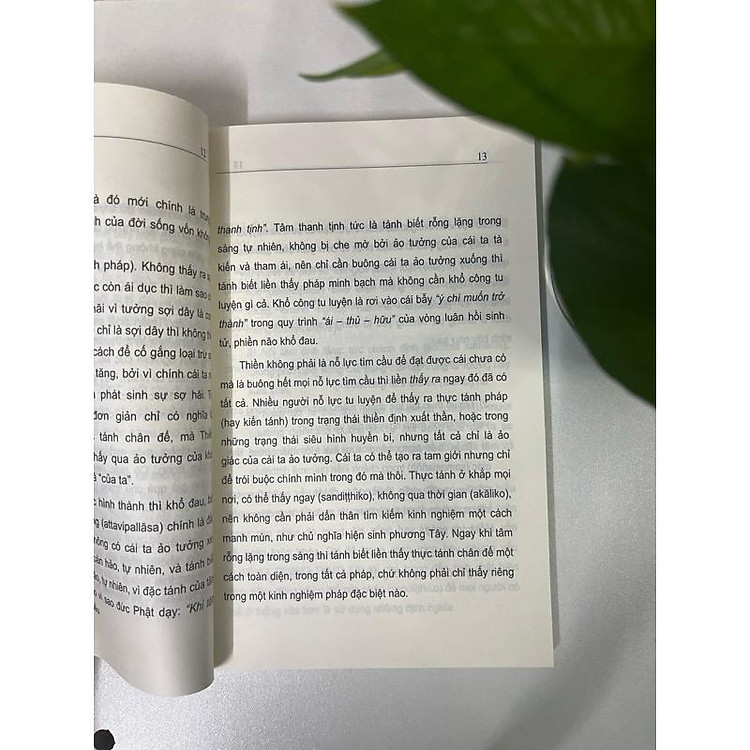 Sống Trong Thực Tại (Viên Minh) - Ảnh 6