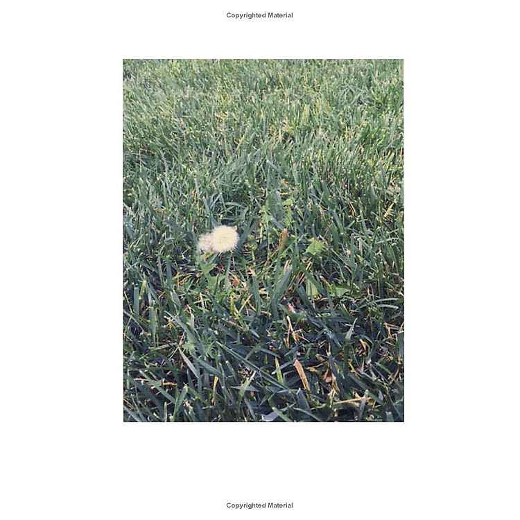 Violet Bent Backwards Over The Grass - Ảnh 6