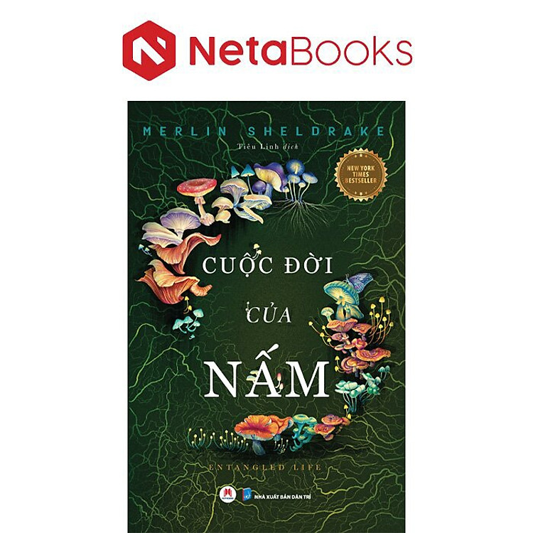 Cuộc Đời Của Nấm