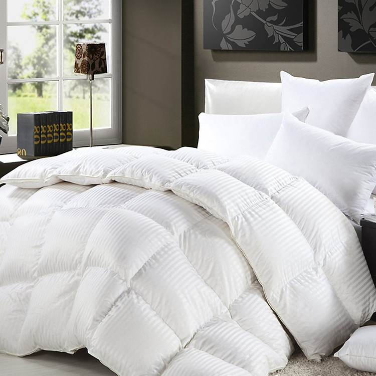 Ruột Mền Lông Vũ Nhân Tạo Micro Fible Siêu Nhẹ Julia RMT (2 x 2.2 m)