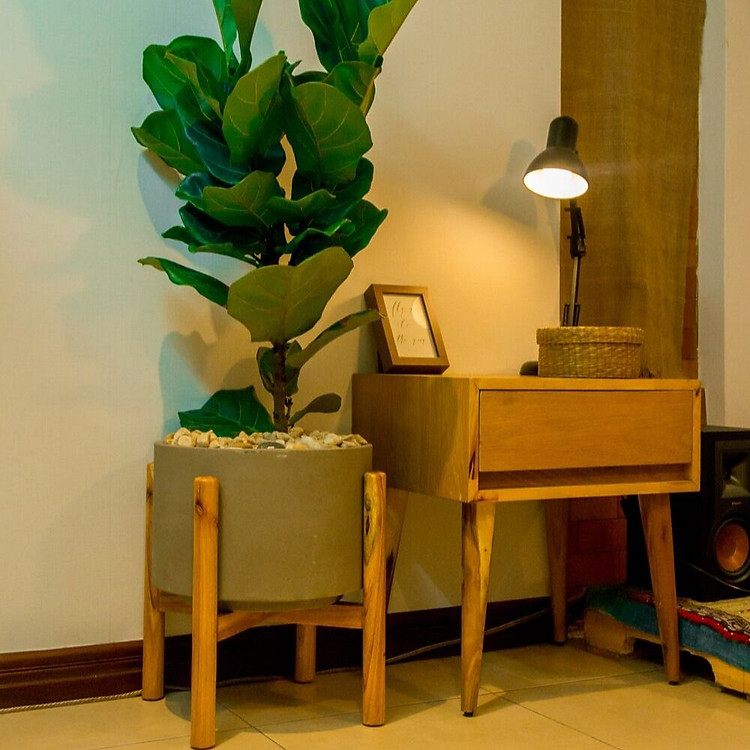 Kệ gỗ cho chậu cây