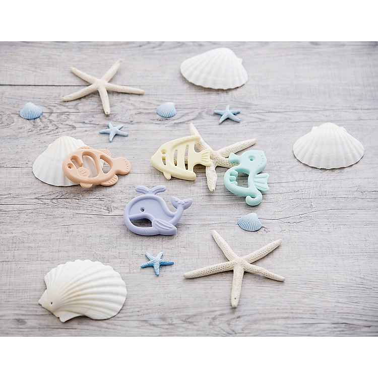 Gặm nướu silicone Richell - Cá voi Chính hãng Tiết kiệm - Hình ảnh 3