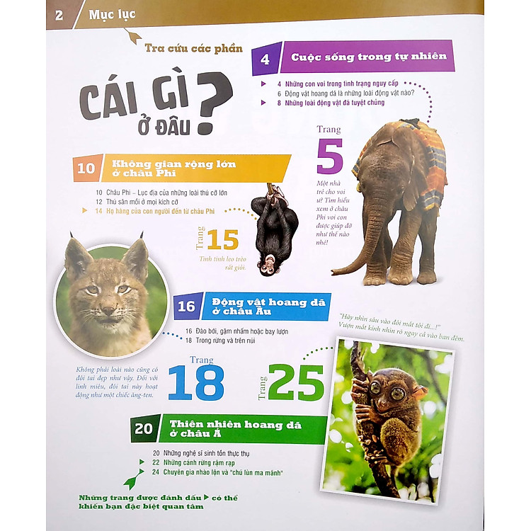 Thế Nào Và Tại Sao - Động Vật Hoang Dã Cần Được Bảo Vệ Trước Nguy Cơ Tuyệt Chủng - Ảnh 2