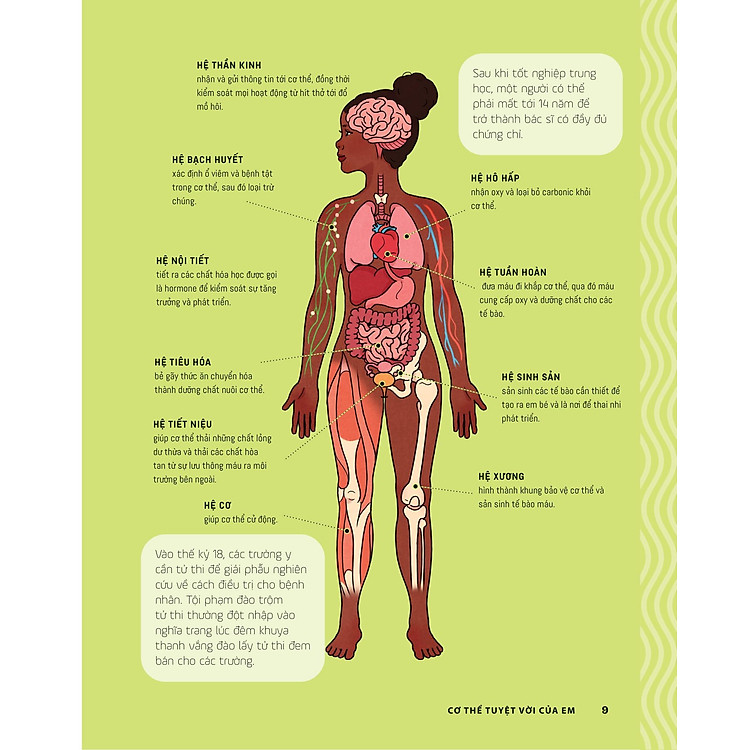 Tớ Muốn Biết Tuốt - Giải Phẫu Cơ Thể Người - Ảnh 5