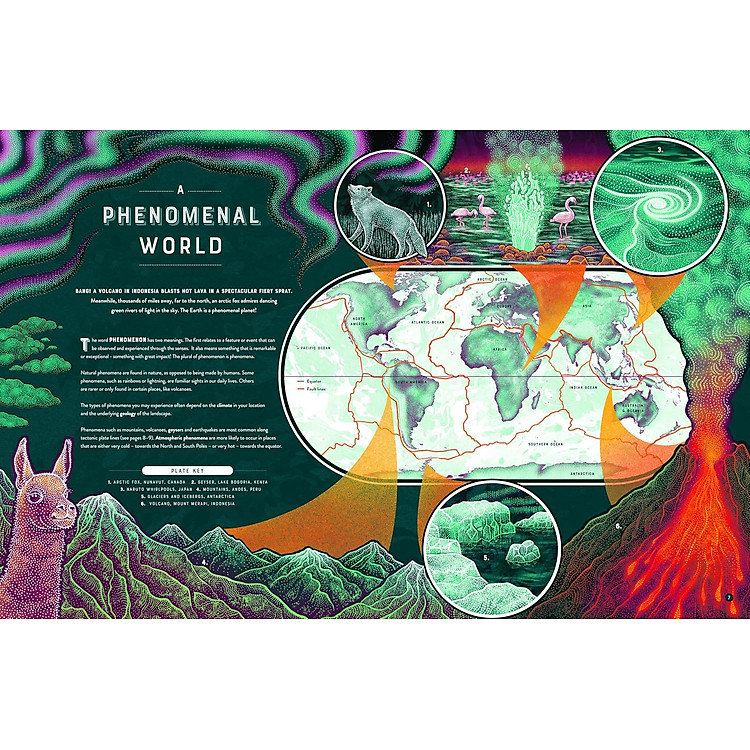 Bang The Wild Wonders Of Earth’S Phenomena - Ảnh 5
