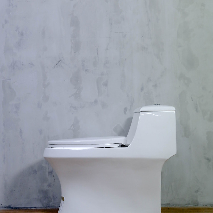 BỒN CẦU VỆ SINH LIỀN KHỐI BASICS BS 123