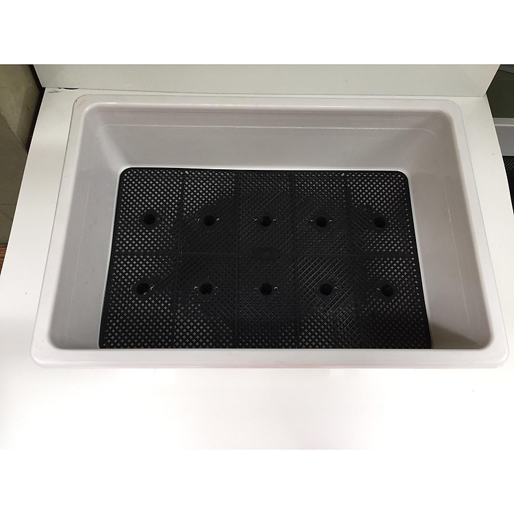 Combo 10 Chậu nhựa trồng rau | Khay trồng rau thế hệ mới