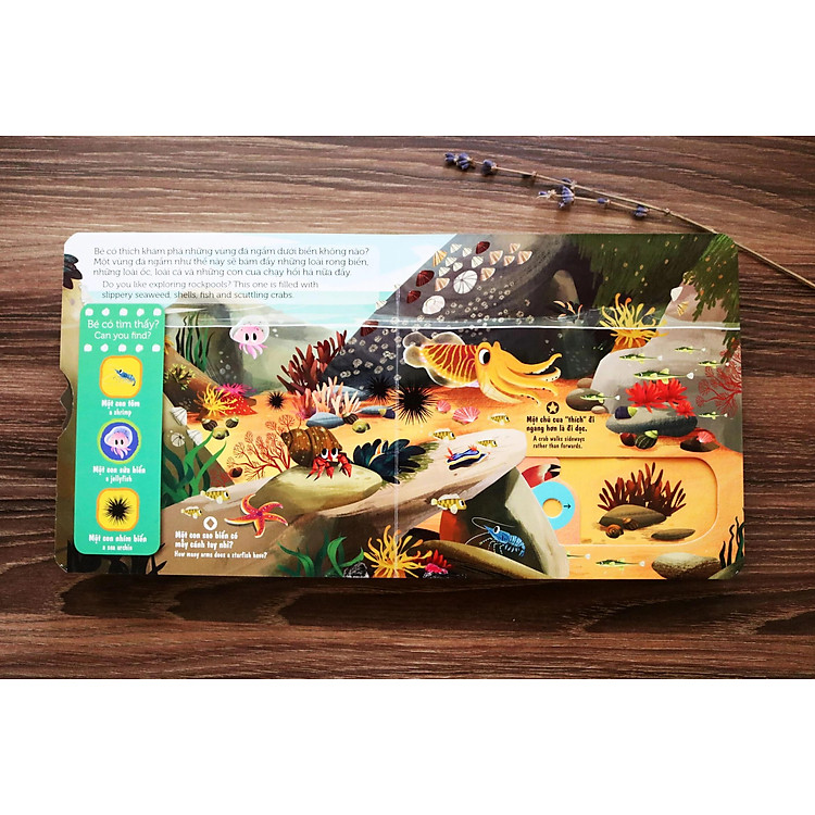 Chuyển Động First Explorers - Sinh Vật Biển - Ảnh 5