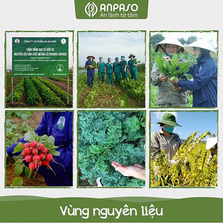 Mì Rau Củ Organic Ngũ Sắc 1KG Uy tín Giá tốt - Hình ảnh 3