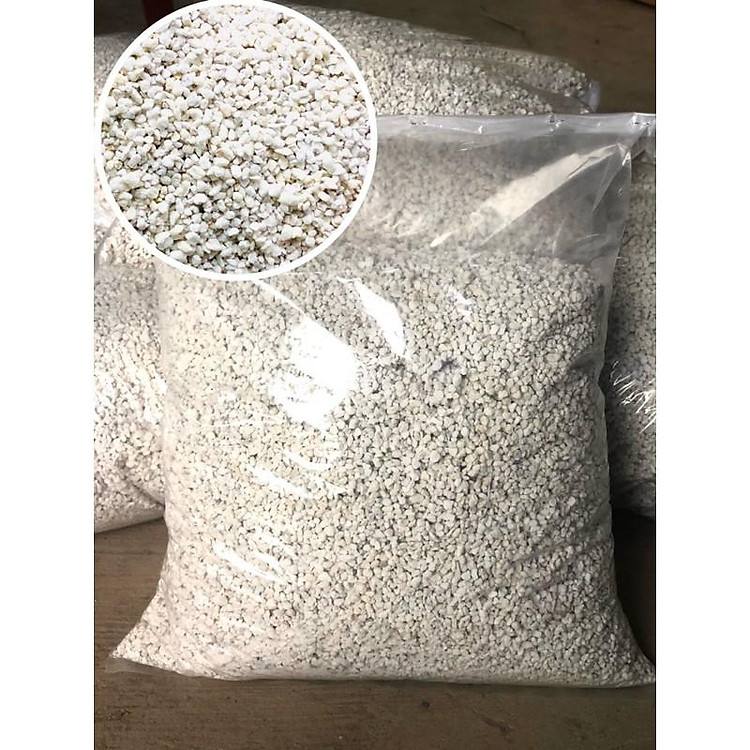 Đá Perlite - Đá trân châu siêu nhẹ cho sen đá & xương rồng gói 500gr