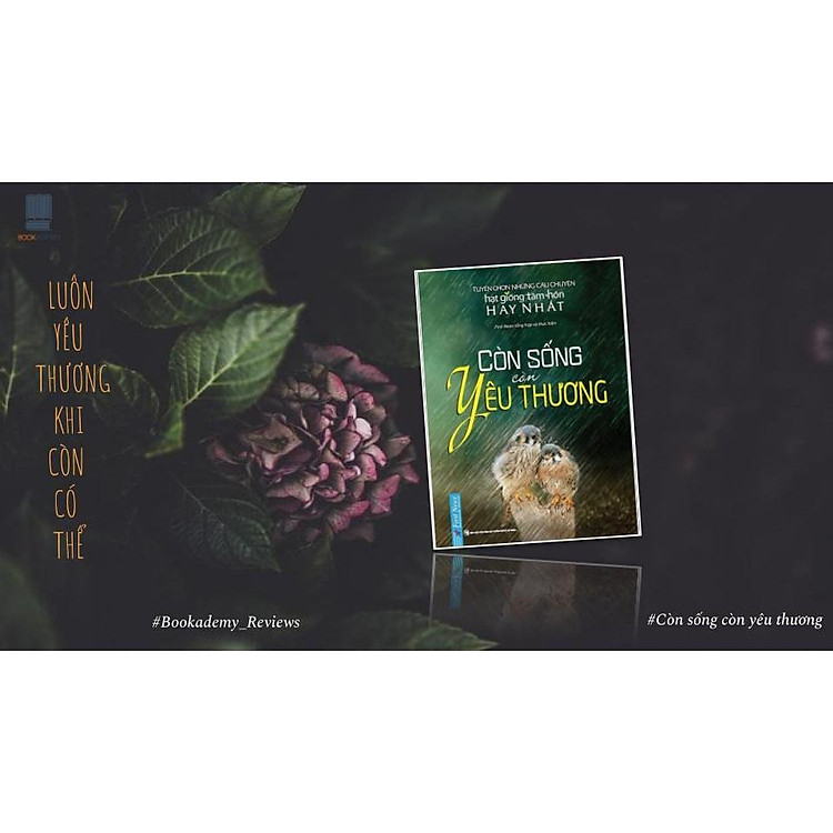 HGTH Còn Sống Còn Yêu Thương - Ảnh 6