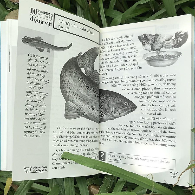 10 Vạn Điều Lý Thú Về Động Vật - Ảnh 6