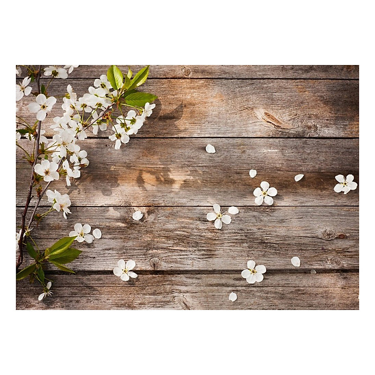 Phông 3D Chụp Ảnh Sản Phẩm